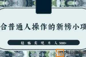 一个适合普通人操作的赚钱项目 新手轻松实现月入5000+  [视频]