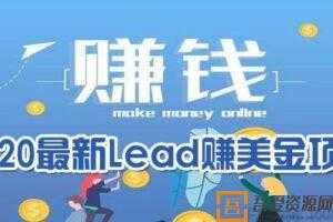 最新lead国外网赚项目2.0，在家日赚500刀美金  [视频]