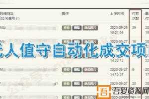 无人值守项目：流量自动化成交，亲测轻松赚千元  [视频]