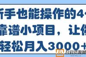 新手也能操作的4个靠谱小项目，让你轻松月入3000+  [视频]