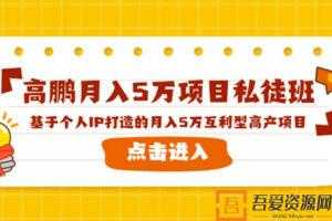 高鹏项目私徒班《基于个人IP打造的月入5万互利型高产项目》  [视频]