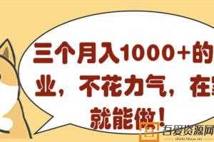 三个副业项目 不花力气 在家就能月入1000+  [视频]