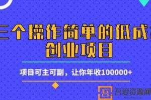 柚子-三个操作简单的低成本创业项目 可主可副年入十万  [视频]