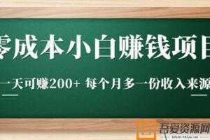 柚子-零成本小白赚钱实操项目 一天可赚200+  [视频]