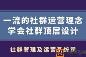 村西边老王《社群管理及运营系统课》  [视频]