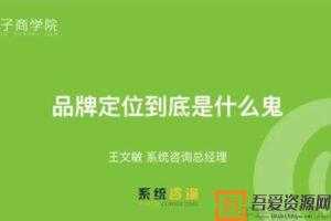 王文敏-勺子课堂 学会品牌定位 让消费者不再对你无动于衷  [视频]