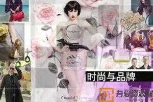 【时尚与品牌】掌握时尚的本质，探索品牌的奥秘  [视频]