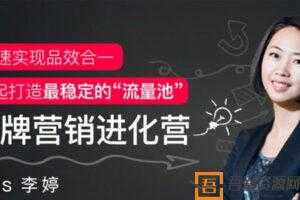 李婷-快速实现品效合一课程《品牌营销进化营》  [视频]