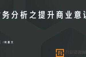 知乎Live-何嘉文《财务分析之提升商业意识》  [视频]