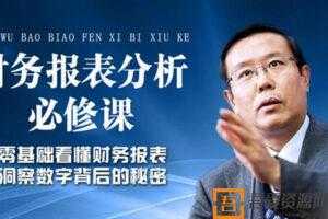 张新民-老板和高管必修的财务报表分析课  [视频]