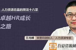 王尚峰-人力资源总监的降龙十八掌：卓越HR成长之路  [视频]