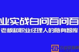 创业实战百问百答 老板和职业经理人的随身智库  [音频]