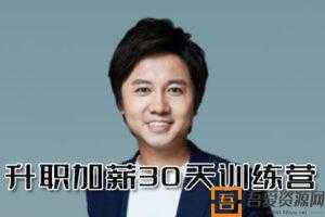 何川-插座学院 升职加薪30天训练营第六期 真实个人案例  [视频]