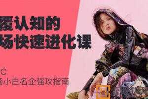 CHIC-颠覆认知的职场快速进化课 职场小白名企强攻指南  [视频]