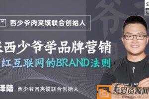 袁泽陆-勺子课堂 跟西少爷学品牌营销：爆红的BRAND法则  [视频]