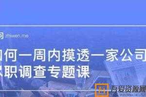 职问-尽职调查专题课 如何一周内摸透一家公司  [视频]