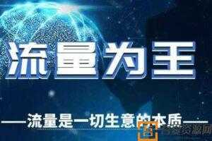 陈昌文谈创业：创业就是搞流量（电子文档）  [视频]