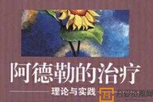 詹姆斯·比特-阿德勒家庭治疗理论和技术【中文字幕】  [视频]