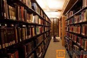 知乎Live-陈春花《激活自我：让知识为自我赋能》  [视频]