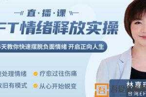 林嘉瑗-EFT情绪释放实操课14天教你快速摆脱负能量  [视频]