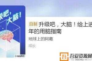 升级吧，大脑！给上进青年的用脑指南  [音频]