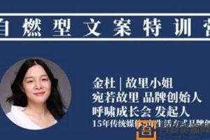 金杜 故里小姐《自燃型文案训练营》