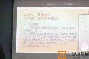 刘涛《心意奇针三天针灸课程》  [视频]