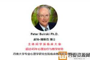 Peter Buirski-主体间心理治疗理论与个案演示12讲  [视频]