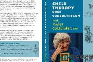 维奥莱特·奥克兰德 儿童治疗案例咨询  [视频]