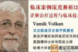 Vamik-精神分析泰斗临床案例深度解析12讲  [视频]
