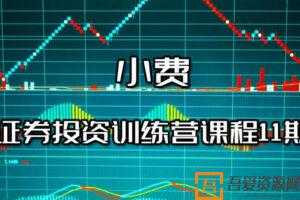 小费-证券投资训练营课程11期  [视频]