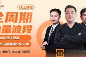 大翟门《全周期动量波段线上课程》【外汇期货】  [视频]