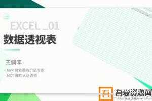 万门大学-王佩丰《3小时学会excel数据处理》  [视频]