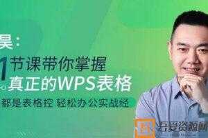 伍昊-WPS表格零基础教程 21节课带你掌握WPS表格  [视频]