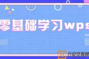 零基础学习wps WPS表格文字演示合集全套教程  [视频]
