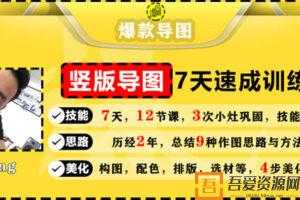 竖版导图7天速成训练营，一张图吸粉引流800+  [视频]
