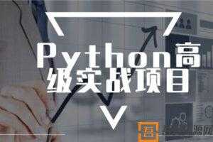 进阶实战 Python高级实战项目完整版  [视频]