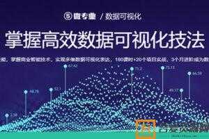 网易云课堂微专业掌握高效数据可视化技法  [视频]