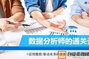 陈哲数据分析师进阶通关升级教程  [视频]