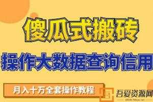 搬砖操作大数据查询信用项目赚钱教程  [视频]