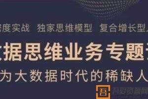 职问《数据思维业务实战课》  [视频]