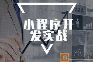 极客学院小程序开发实战视频教程  [视频]