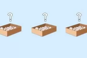 逗你学 统编人教版小学数学三年级下册同步课程