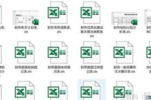 625套Excel模板