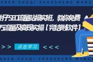 2021年附子SEO流量站实操班，获得百万流量及变现实操