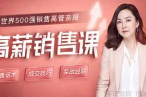 薇安《高薪销售课》前世界500强销售高管