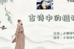 学而思-徐铭颖 二年级语文 2021年春季培优勤思在线