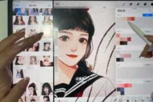 野生奶冻《2020年最新ipad插画课》  [视频] [课件]