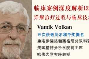 精神分析泰斗Vamik 临床案例深度解析12讲:【视频+音频+文献+文字稿】