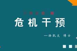 徐凯文 危机干预 远程培训从理论背景到技术实施课程视频+课件